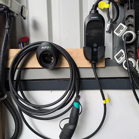 Bambus * ווינטרברג