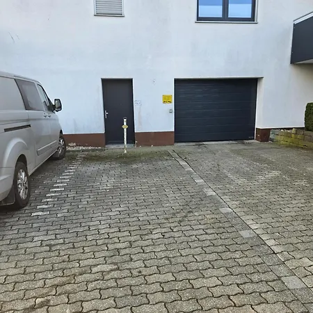 Bambus * Winterberg