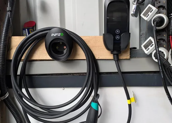 Bambus * Винтерберг